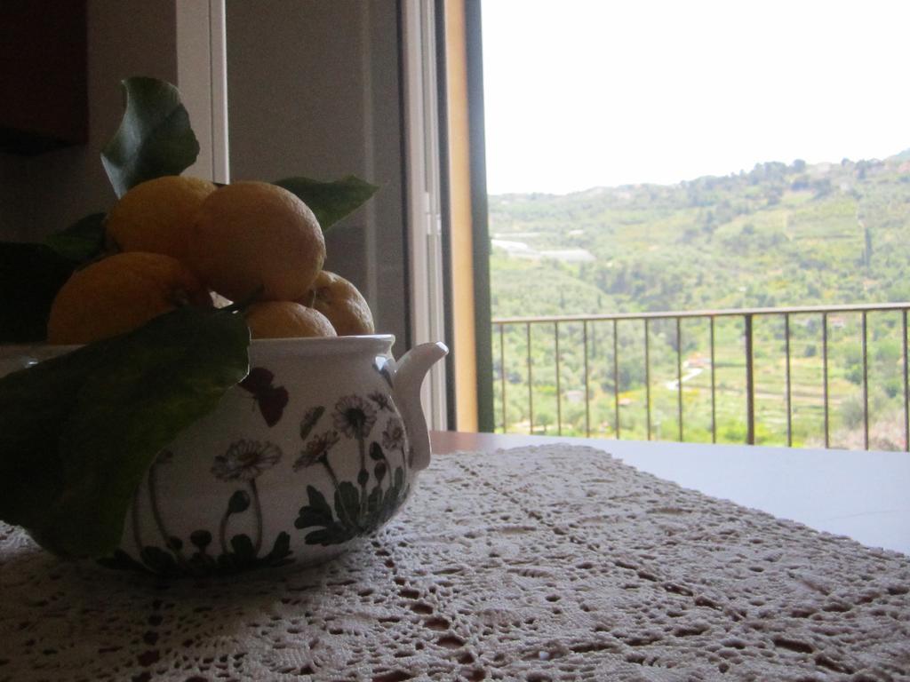 Agriturismo Turlin Vallebona Zewnętrze zdjęcie