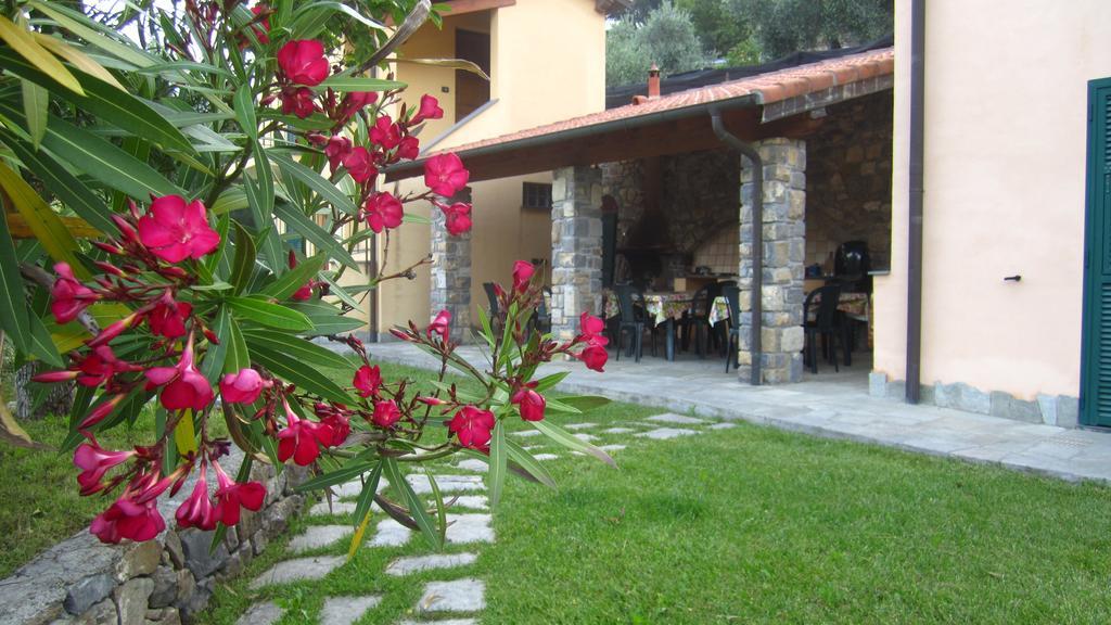 Agriturismo Turlin Vallebona Zewnętrze zdjęcie